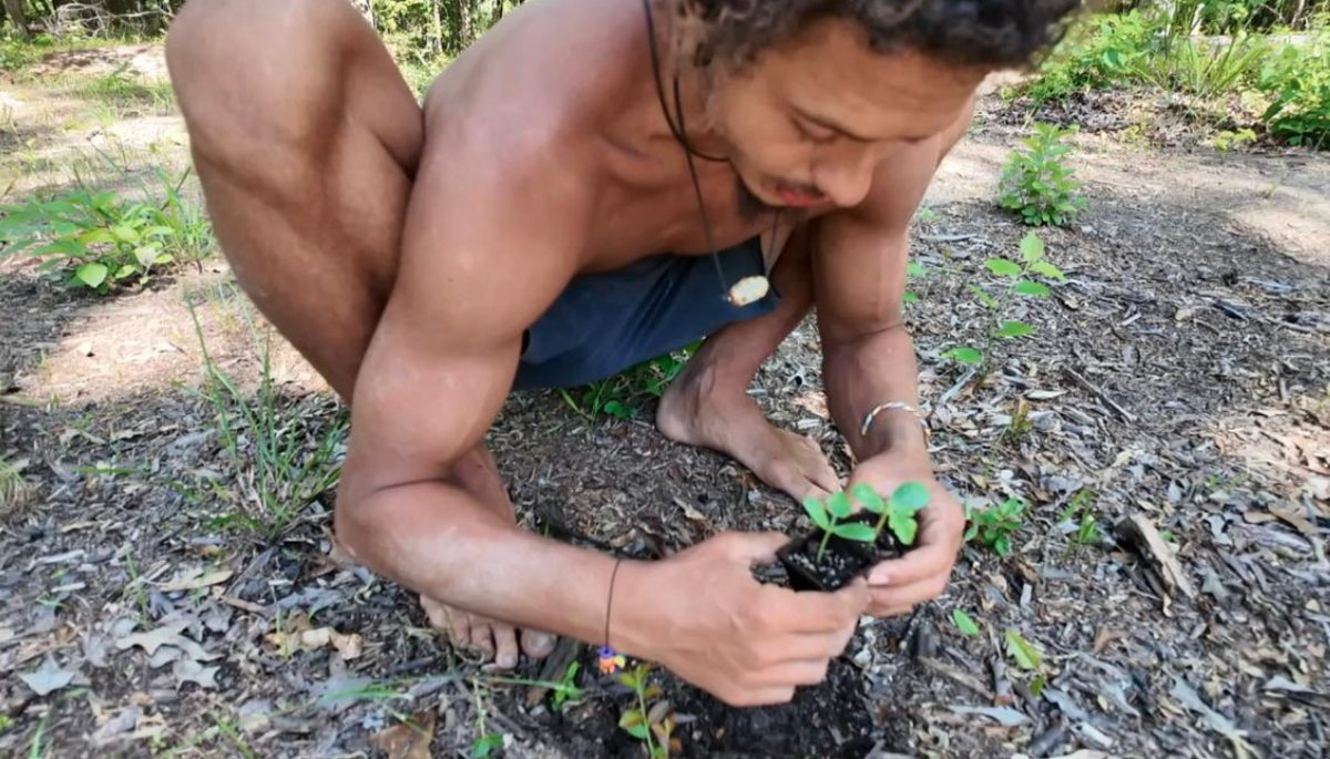 Taiyo planting a seedling by hand